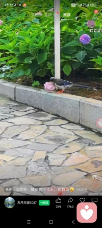 有很强的服务意识，才能服务好每一个客户哦