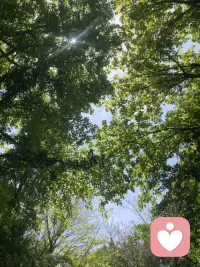 人生苦短 及时行乐！！配图