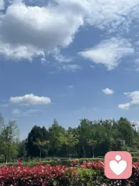 人生苦短 及时行乐！！配图