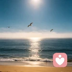 沐海的头像