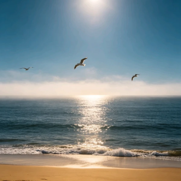 沐海