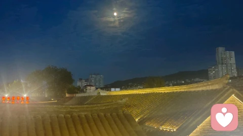 我、事、人、理、物:五维价值排序,藏着每个人的人生底层逻辑
