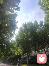 把复杂的事情简单化是进步，把简单的事情复杂化是腹黑