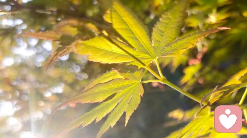 被爱并没有我们认为的那么重要