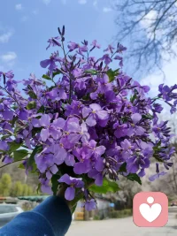 幸福的童年可以治愈一生，不幸的童年要用一生治愈！

我们在回顾原生家庭给自己带来的创伤，是帮助我们看到自己创伤的来源，不能一味的沉浸在过去，那只是来时路！

看到自己接纳自己，在疗愈自己，才是真正应该去做的事情！

原生家庭是你的起点，你的经历和你的终点，你可以自己决定！