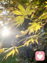 恐惧催生卑微，自洽带来从容；需要你拼命挽留的关系本就留不住，能让你安心做自己的，才值得长久奔赴。