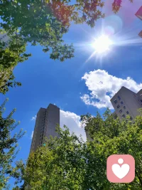 向外指责是本能，向内自省是修行
外人只能引路，自渡，才是救赎！
（今日感悟）