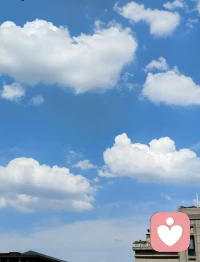见过世间百态之后
依然选择包容与善意
才是最好的修行。