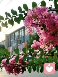 没有人可以回到过去重新开始
但谁都可以从现在开始
书写一个全然不同的结局