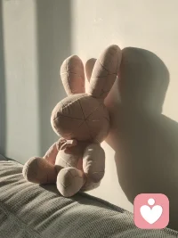 情绪来的时候，看到他，接住他，安抚他，跟他和解！