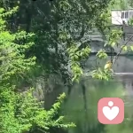 呢喃的头像