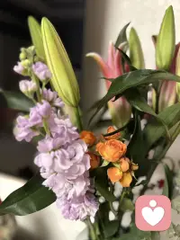 许多隔阂，看似是在和别人计较，其实是困在执念中，和自己僵持不下。眼界受局限时，人才会紧抓着琐碎小事反复纠结。所谓成长，就是慢慢筛掉身边的烦心事，清空心底积攒的负面情绪。大道至简，内心没有牵绊，不被人情是非困住，人生路才能走得轻松从容。配图