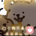 露露希望你好好爱自己的头像