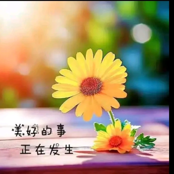 雅柔倾听者