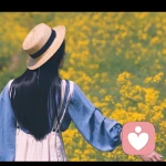 杉杉来迟（情感分析）的头像