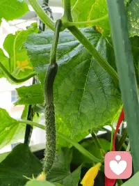 为了健康的躯体，我要十一点准时休息。躯体需要！同时也希望看到这条信息的朋友都首先保重自己的躯体！配图