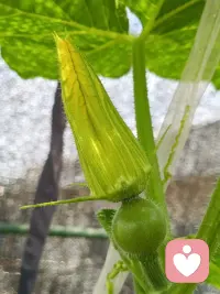 为了健康的躯体，我要十一点准时休息。躯体需要！同时也希望看到这条信息的朋友都首先保重自己的躯体！配图