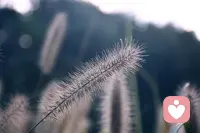 我想尝试接听挨骂单…………