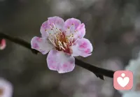 今天看到这段话，分享给朋友们:👇
无论别人怎么对你，你都要善待自己。顶天立地做人，光明磊落做事，无愧于心。在自己的世界里独善其身，在别人的世界里顺其自然。世事多变，有人冷眼相看，有人背后非议，但这些都不该动摇你内心的坚定。 人生的意义，就是独自穿越悲喜，见天地，见众生，见自己。心若不在，何必强求；人若不爱，何必强留。有些事不需要答案，态度就是答案。永远不要高估你在别人心中的位置，你不必活在别人的眼光里，自己看重自己，就足够了。