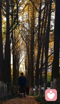 人无横财不富，马无夜草不肥，横财不富穷人命，夜草不肥劳碌马。