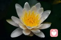 人这一辈子不结婚你会怎么办？
但你必须做到三件事，第一，从现在开始坚持锻炼，保养好身体，没有人照顾你，你必须自己扛住所有病痛和风雨。第二每个月必须存下大部分工资，人老了无儿无女身无分文，是这世上最艰难的活法。第3，提前立好遗嘱，等我和你爸不在了，你在世上就再无至亲，将来你若是重病卧床，一定要提前指定一个可信人帮你签字，不然哪怕你卡里有再多钱没人知晓，最后有钱也救不了你的命。我还有表弟表妹，还有好闺蜜，他们都是我的亲人啊，傻孩子，表弟闺蜜再好也有自己家庭，自己的孩子，当他们也老了，他们就算有心帮你，他们的爱人子女也不愿意无端为你负责，到那时你就是个外人，吃饭没人陪，生病没人管，住院没人为你签字。一位老友前几天还跟我聊起他一位老相识， 70多岁还终身未娶，年前心脏病倒在家没人知道，密码没人签。签字救治，最后钱入了国家，人孤零零离开了这个世界。你以为不结婚是自由是轻松，可你从来没想过最坏的结局，我和你爸在世一天就有人为你兜底，等我们一走，世间风雨只剩你一人独扛，看病自己排队，出院自己照料，晚上散步看着别人儿孙满堂，你从头到尾只有自己，你还要想好将来生活不能自理，你的钱交给谁打理，是发小还是闺蜜人心隔肚皮，真到那一刻没人真心为你兜底，那那我试着谈个对象吧，孩子爸妈从来不是逼你结婚传宗接代，我们只是怕百年之后这偌大的世界再也没有一个真心牵挂你的人，钱能买来保姆，买来服务却买不来真心疼爱我们的人。最怕的不是没本事没出息，而是我们走后漫漫长夜无人为你留灯，寒冬风雨无人为你端一碗热汤。原来父母催婚从来不是为了面子，不是为了香火，只是希望你的余生有人。陪伴有人兜底，有人偏爱余生，漫漫不再孤身一人漫漫。