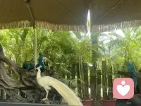 美好的一天开始了