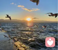 我一直觉得面朝大海，春暖花开