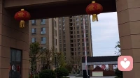 什么是自我矛盾及调整