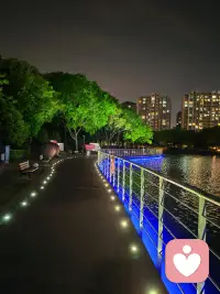 很多人偏爱黑夜，等夜色降临，紧绷的心才会慢慢的松弛下来。一个人独自走在城市的街头，融入到无边的夜色中，白日积攒的疲惫才会慢慢消散，寻到一丝难得踏实的安全感。