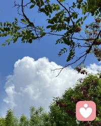 生活难免有风雨，放过过往的遗憾。好好善待自己，时光温柔，你值得所有平安与美好。