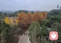 所有的危机都是促进对意识的成长。