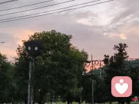 “生活的意义就是看一棵树的春夏秋冬”🐛🦋🐦