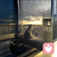 对着外边发呆