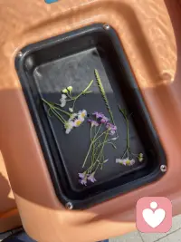 会有阳光，会有小花，也会有阳光被挡住的时候。烦闷、压抑或是焦虑，不论哪一种情绪的，都不要有［我是不是错了？］的困惑。当你勇敢把情绪描述出来的那一刻，就已经在正视自己，是自我成长。