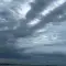 21509103