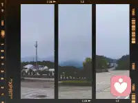 抬眼所见花自舒展本色，抬眸望去海自翻涌本波，万物皆以最本真的模样，落在我的视野里，本是人生中的过客，静一静，享受当下最真实的自己