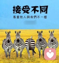 要学会接受不同，不内耗，不自我否定配图