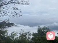 站在山间望着这片云海，忽然读懂婚姻。
看似连绵壮阔，也常有迷雾笼罩，看不清前路。
很多女人在其中独自跋涉，委屈无处言说。
风光人人看得见，风雨却只能自己扛。
愿我们在漫长烟火里，寻得内心的晴空。