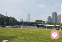 允许一切发生，也允许自己偶尔疲惫，生活的温柔藏在细碎的日常里
