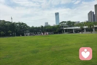 秋分，时光静谧，季节对半，一半诗意，一半宁静，但愿你安。