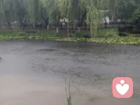 细密的雨丝织成朦胧的帘，我撑着伞走在湿漉漉的街，裤脚沾了水渍，却满心都是清润的惬意。