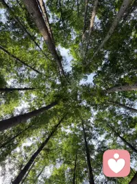 去做开心的事～