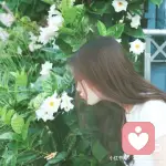 南风老师的头像