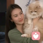 麦麦的头像