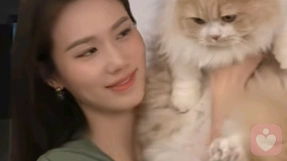麦麦