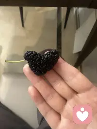 第一天入驻，感谢支持我的人❤️
东亚文化还是太压抑了
我也经常在下班后坐在车里舍不得回家
只有经历过的人才知道多宝贵
祝愿大家都能找到自己的幸福