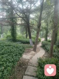 用心倾听，治愈人心的无声力量
 
在快节奏的当下，人人都急于表达、渴望被看见，却很少有人愿意安静倾听。而倾听师，是守护心灵的摆渡人，以沉默的温柔、专注的接纳，接住世人无处安放的情绪。
 
倾听从不是简单的听见声音，而是一场走心的共情与接纳。生活中，太多人背负着焦虑、迷茫、委屈与孤独，这些细碎的负面情绪，往往无处诉说。人们害怕倾诉换来评判、说教与敷衍，于是习惯性自我内耗、自我压抑。而倾听师的使命，就是搭建一座安全的心灵桥梁。
 
作为倾听师，我们始终保持真诚与包容，放下主观偏见与对错评判。不急于打断、不随意说教、不盲目安慰，只是全身心投入对方的情绪世界，接纳所有的脆弱与真实。悲伤时，我们陪伴共情；迷茫时，我们耐心梳理；压抑时，我们守护释放。这份无条件的接纳，是治愈心理内耗的良药。
 
心理学中，倾诉本身就是最好的疗愈。很多心结并非需要标准答案，只是需要一个愿意认真倾听的人。当情绪被看见、被理解，积压的压力便会慢慢消解，混乱的内心也会逐渐平和。
 
真正的倾听，是尊重，是温柔，更是治愈的力量。我们以初心坚守岗位，用耐心包容情绪，用真诚温暖人心。愿每一个孤独的灵魂都能被温柔倾听，每一份负面情绪都能被妥善安放，让人们在倾诉与被倾听中，与自己和解，重拾内心的平静与力量。