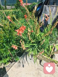 很多藏在心底的委屈无从诉说的时候，原来真的有那么一个平台它懂你的委屈，感同身受你的不易，不管何时何地我都在等你，，，