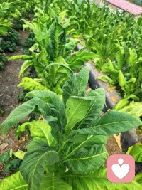 很多藏在心底的委屈无从诉说的时候，原来真的有那么一个平台它懂你的委屈，感同身受你的不易，不管何时何地我都在等你，，，