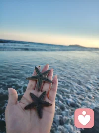 其他
436字
￼
7
有人说，最温暖的感动是互相照亮的星光。生活中的感动总在不经意间叩击心门，就像那个午后，画面永远定格在记忆里